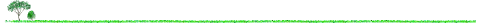 tr_lin4.gif